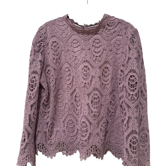 Ultra pink lace Elegant Lace Women's Top in Mauve XL - Picture 1 of 9